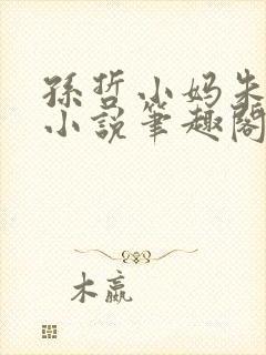 孙哲小妈朱颜的小说笔趣阁