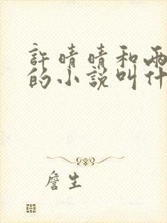许晴晴和两个哥的小说叫什么名字