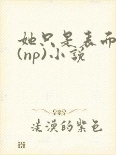 她只是表面清纯(np)小说