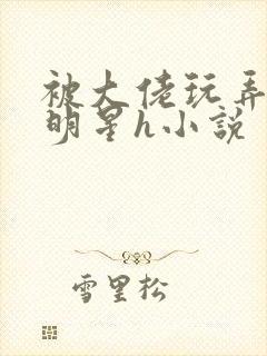 被大佬玩弄的女明星h小说封面