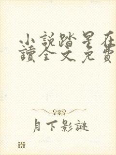 小说踏星在线阅读全文免费封面