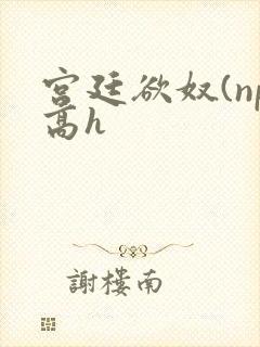 宫廷欲奴(np高h