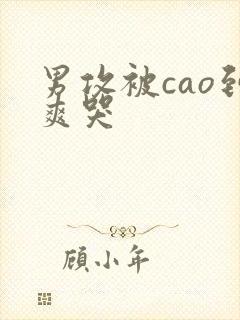 男攻被cao到爽哭封面