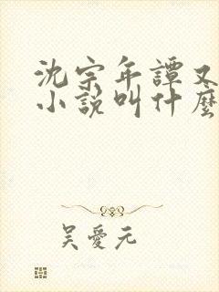 沈宗年谭又明的小说叫什么