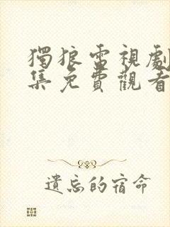 独狼电视剧30集免费观看全集高清