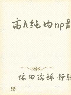 高h纯肉np乱