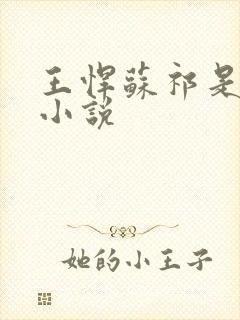 王悍苏祁是什么小说