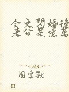 全文闪婚后发现老公是亿万富豪封面