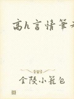 高h言情笔趣阁封面