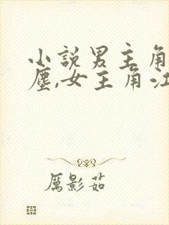 小说男主角沈卿尘,女主角江稚免费阅读