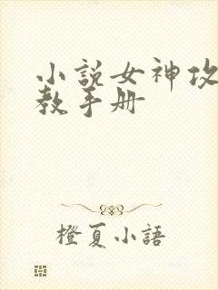 小说女神攻略调教手册