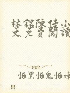 林铭陈佳小说全文免费阅读最新章节封面