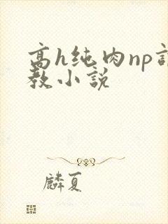 高h纯肉np调教小说