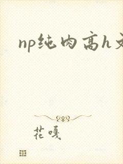 np纯肉高h文