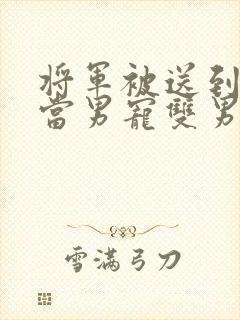 将军被送到敌国当男宠双男小说