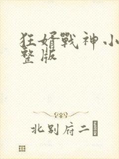 狂婿战神小说完整版