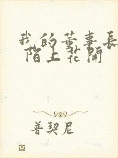 我的董事长老婆 陌上花开