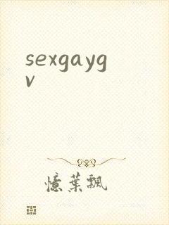 sexgaygv封面