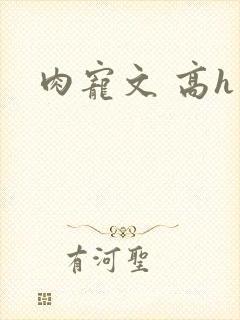 肉宠文 高h