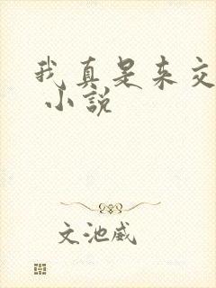 我真是来交换的 小说封面