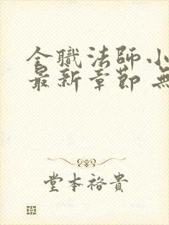 全职法师小说 最新章节 无弹窗