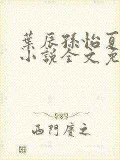 叶辰孙怡夏若雪小说全文免费阅读
