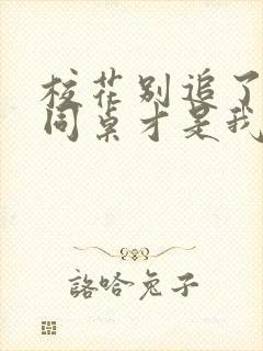 校花别追了高冷同桌才是我的txt