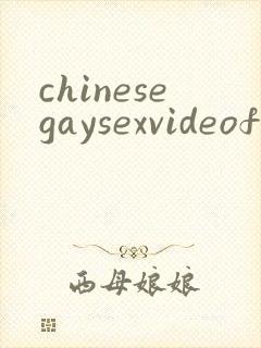 chinesegaysexvideofree