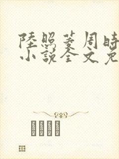 陆照菱周时阅的小说全文免费封面
