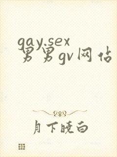 gay.sex男男gv网站