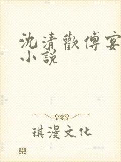 沈清欢傅宴时的小说封面