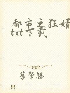 都市之狂婿战神txt下载