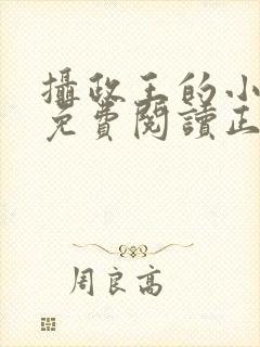 摄政王的小闲妻免费阅读正版