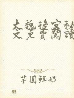 大魏后宫秘史全文免费阅读笔趣阁封面