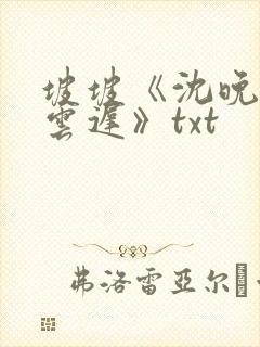 坡坡《沈晚梨谢云迟》txt封面