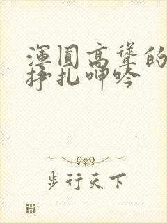 浑圆高耸的人妻挣扎呻吟