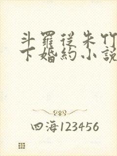 斗罗从朱竹清订下婚约小说