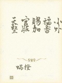 天官赐福小说完整版加番外txt