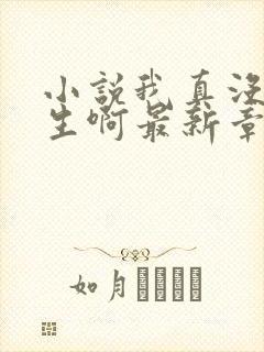 小说我真没想重生啊最新章节封面