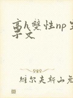 高h双性np生子文