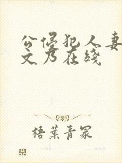 公侵犯人妻沙月文乃在线封面