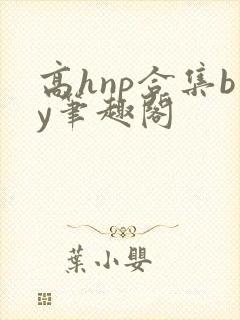 高hnp合集by笔趣阁