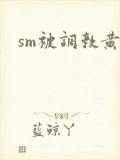 sm被调教黄文封面