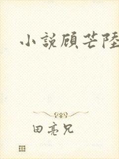 小说顾芒陆承洲