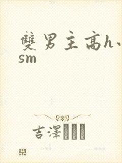 双男主高h小说sm