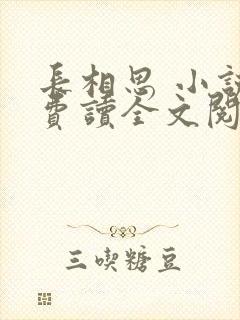 长相思 小说免费读全文阅读