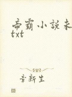 帝霸小说未删版txt