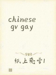 chinese gv gay