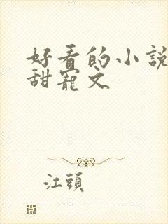 好看的小说言情甜宠文