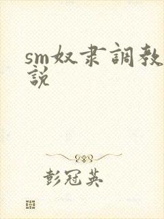 sm奴隶调教小说